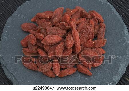 food fruit gojibeeren chinese boxthorn asia View Large Photo Image Stock Photo -  food fruit gojibeeren chinese boxthorn asia. Fotosearch
