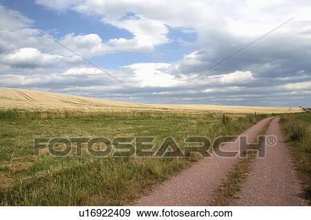 food summer nature field edge way tracks grain View Large Photo Image Stock Photo - food summer nature field edge way tracks grain. Fotosearch