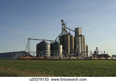 food union pacific train tower soybean rural row View Large Photo Image Stock Image - food union pacific train tower soybean rural row. Fotosearch