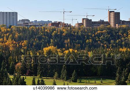 Stock Photograph -  four tower cranes working building new south. Fotosearch
