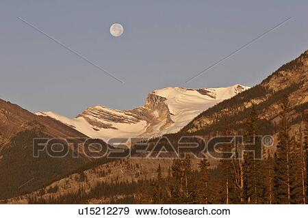 Stock Photo -  full moon over mountain icefield lodgepole pines. Fotosearch