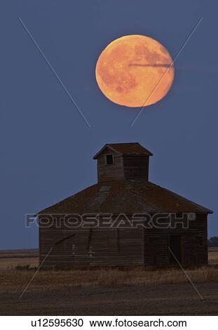 full moon over old barn weathered wood farm View Large Photo Image Stock Image - full moon over old barn weathered wood farm. Fotosearch