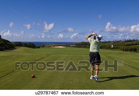 golf man playing famous exclusive plantation View Large Photo Image Stock Photo - golf man playing famous exclusive plantation. Fotosearch