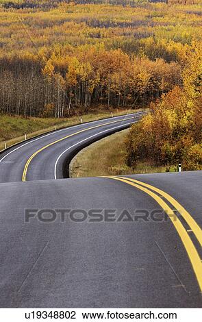 Stock Image -  highway approching aspen forest in british trees. Fotosearch