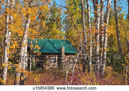 Stock Photo -  home small log cabin setting in heavly wooded. Fotosearch