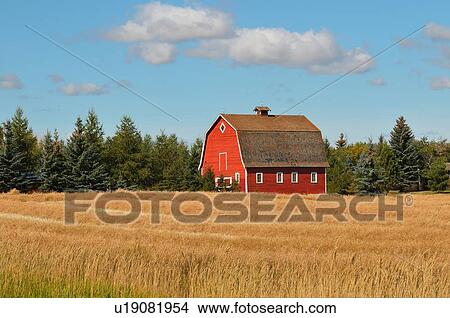 horizontal landscape red barn in farm field View Large Photo Image Picture - horizontal landscape red barn in farm field. Fotosearch