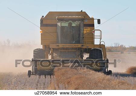 horozontal front view combine harvester raw View Large Photo Image Picture - horozontal front view combine harvester raw . Fotosearch