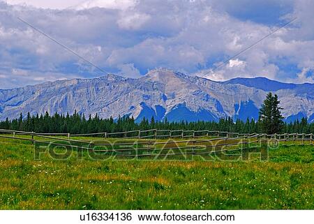 Stock Photograph -  lush green meadow in foothills rocky mountains. Fotosearch