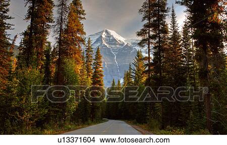 Picture -  mount robson in autumn road center line pines. Fotosearch