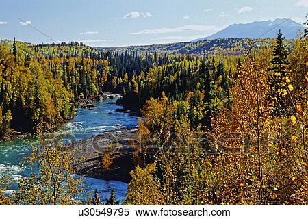 nature beauty autumn scenic bulkley river canada View Large Photo Image Stock Photography - nature beauty autumn scenic bulkley river canada. Fotosearch