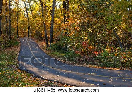 Stock Photography -  paved hiking trail winds its way through fall. Fotosearch
