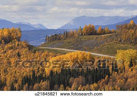 road view rocky mountains forest trees View Large Photo Image Stock Image - road view rocky mountains forest trees. Fotosearch