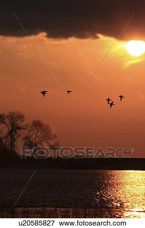 Stock Photo -  silhouette colo iowa bog clouds country flight. Fotosearch