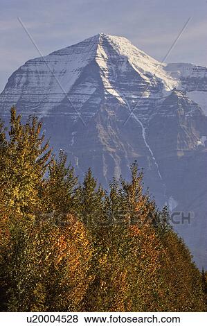 snow capped mountain canada mount robson british View Large Photo Image Stock Photo - snow capped mountain canada mount robson british. Fotosearch