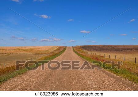 Stock Photograph -  straight section dirt road in rural alberta . Fotosearch
