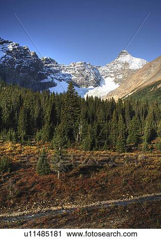 view rocky mountains icefields parkway river View Large Photo Image Stock Image - view rocky mountains icefields parkway river. Fotosearch