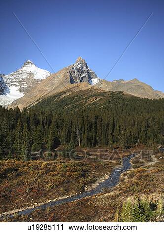 view rocky mountains icefields parkway river View Large Photo Image Stock Image - view rocky mountains icefields parkway river. Fotosearch