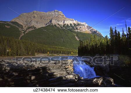 Picture -  water athabasca falls in jasper national park. Fotosearch