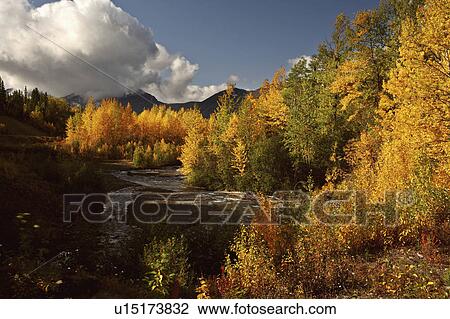 water autumn colors rescue creek in northern View Large Photo Image Stock Image - water autumn colors rescue creek in northern. Fotosearch