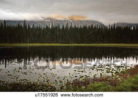Stock Photograph -  water british columbia lake mountain grasses. Fotosearch