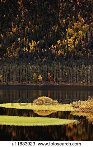 water in autumn bushes changing color leaves View Large Photo Image Stock Image - water in autumn bushes changing color leaves. Fotosearch
