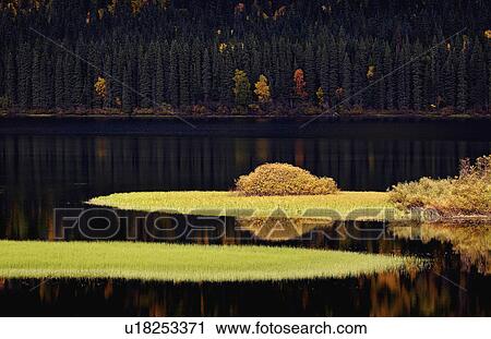 water in autumn bushes changing color leaves View Large Photo Image Stock Image - water in autumn bushes changing color leaves. Fotosearch