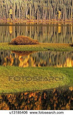 water in autumn bushes changing color leaves View Large Photo Image Stock Photograph - water in autumn bushes changing color leaves. Fotosearch