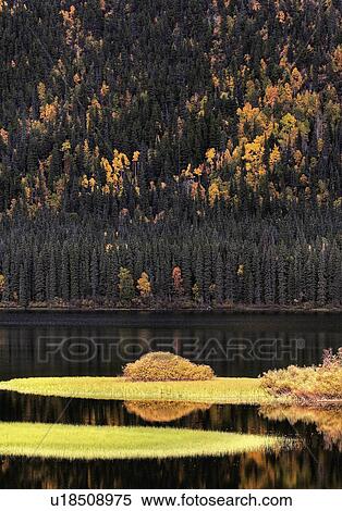 Stock Photography -  water in autumn bushes changing color leaves. Fotosearch
