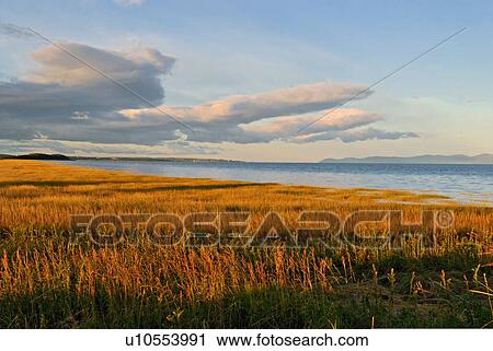 water summer nature morning landscape saint View Large Photo Image Stock Image - water summer nature morning landscape saint . Fotosearch