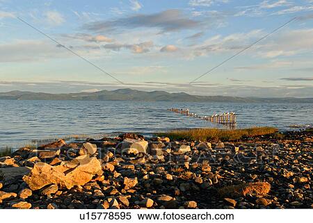 water summer nature morning landscape saint in 3 View Large Photo Image Stock Photography - water summer nature morning landscape saint in 3. Fotosearch