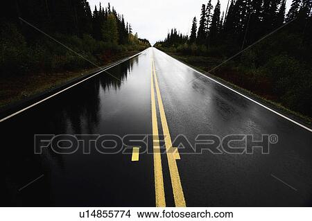 Picture -  wet cassiar highway through northern british. Fotosearch