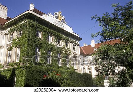 wien josephinum vienna austria alsergrund efeu View Large Photo Image Picture - wien josephinum vienna austria alsergrund efeu. Fotosearch