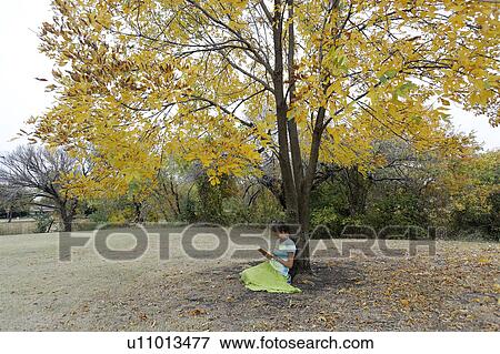 Stock Photo -  woman book senior citizen elderly lady reading. Fotosearch