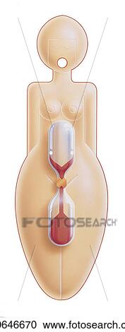 Stock Image -  woman cartoon naturliche verhutung caricature. Fotosearch