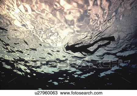 woman silhouette people nature person snorkeling View Large Photo Image Stock Image - woman silhouette people nature person snorkeling. Fotosearch