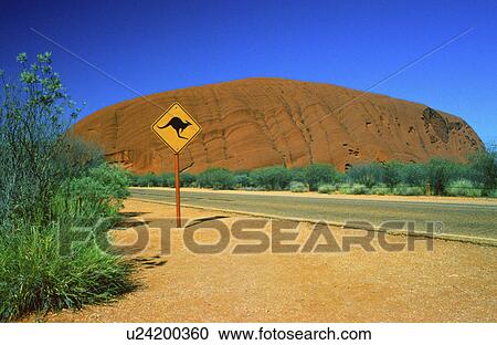 australia uluru ayres rock kangaroo sign bushes View Large Photo Image Stock Image - australia uluru ayres rock kangaroo sign bushes. Fotosearch