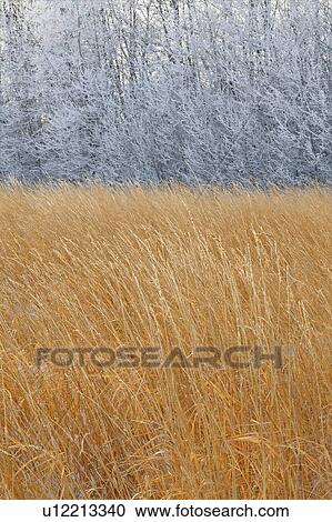 Stock Image -  background nature winter landscape image some. Fotosearch