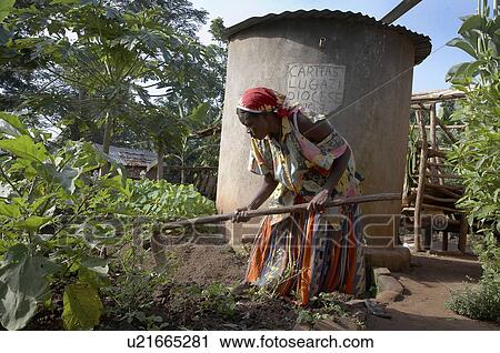 Stock Image -  background woman home uganda in najjemba farmer . Fotosearch