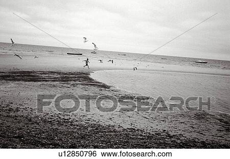 Stock Photograph -  beach boy running around cape cod 3 point owoods. Fotosearch