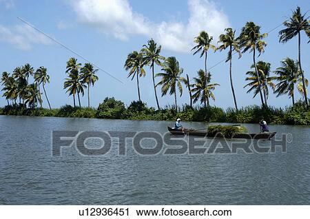 block kuttanad alappuzha banks rowing country View Large Photo Image Stock Image - block kuttanad alappuzha banks rowing country. Fotosearch