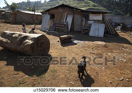 brazil aldeia tekoa pyau guarani mbya indigenous View Large Photo Image Stock Photograph - brazil aldeia tekoa pyau guarani mbya indigenous. Fotosearch