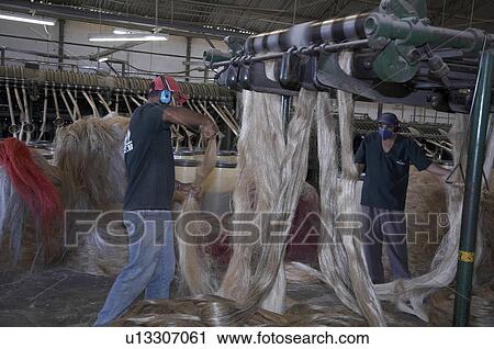 brazil work apaeb small farmers state bahia help View Large Photo Image Stock Image - brazil work apaeb small farmers state bahia help. Fotosearch