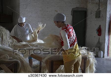 Stock Image -  brazil work apaeb small farmers state bahia help . Fotosearch