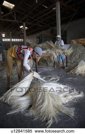 Stock Photography -  brazil work apaeb small farmers state bahia help . Fotosearch