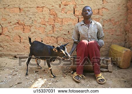 Stock Image -  burundi boy goat gitera africa sub saharan . Fotosearch