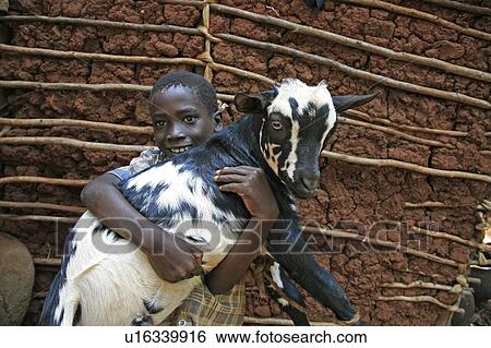 Stock Photograph -  child children burundi boy carrying goat gitera . Fotosearch