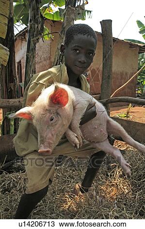 child children burundi boy pig gitera africa sub burundi View Large Photo Image Stock Image - child children burundi boy pig gitera africa sub burundi. Fotosearch