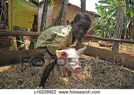 child children burundi boy pig gitera africa sub View Large Photo Image Stock Image - child children burundi boy pig gitera africa sub . Fotosearch