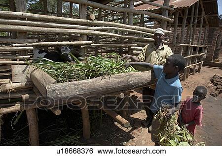 child children uganda farm yudaya namirembe 48 View Large Photo Image Stock Photograph - child children uganda farm yudaya namirembe 48 . Fotosearch