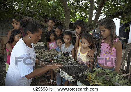 child school children brazil organic garden joao View Large Photo Image Stock Image - child school children brazil organic garden joao . Fotosearch